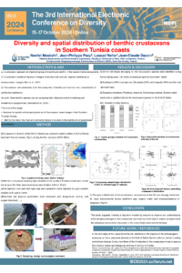 poster pdf Nawfel Mosbahi.pdf