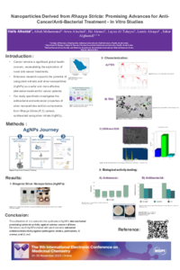 9th-ECMC_Poster_template.pdf