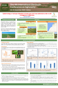 No-till - ELWAZZIKI- FV.pdf
