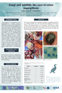 poster_aspergilose birds.pdf