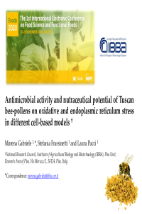 Bee-pollen presentation Morena Gabriele - FOODS 2020.pdf