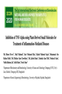 sciforum_039790_slides_TNF.pdf