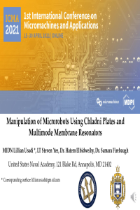 Usadi_Micromachines.pdf