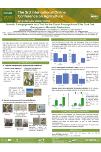 Poster_Iocag25_132659.pdf