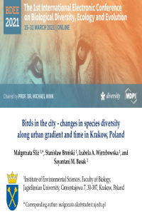 Birds in the city_Śliż.pdf