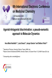 NARDIELLO_A pseudo-semantic approach to Molecular Dynamics.pdf