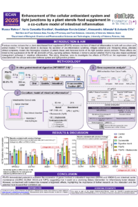 Póster. Congreso Antioxidants 2025. PCR - PS. DEF.pdf