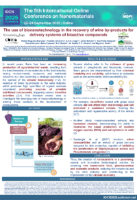 IOCN_2025_RAFA.pdf