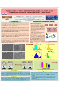 sciforum-126686 ITALY NASRIN POSTER FINAL PRINT 2025.pdf