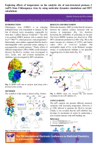 Silva-Junior_nsP2.pdf