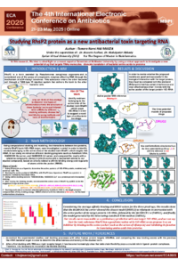 Studying RhsP2 protein as a new antibacterial toxin_poster.pdf