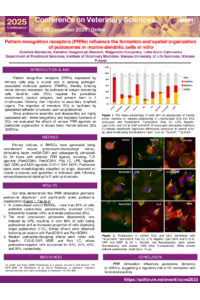 Poster_sciforum-142572_Biernacka.pdf