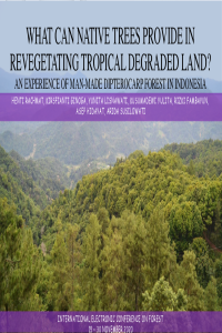 IECF 2020_Rachmat et al_presentation.pdf