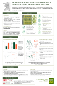 Sas_IECPS 2020_Poster.pdf