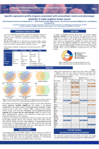 sciforum_171346_S3_slides_Karpushin_s_poster.pdf