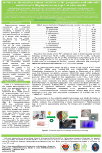 Staphylococcus_biofilm_amended.pdf