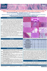 Poster Animals conference-Histopathological hepatic lobe torsion Rabbit-final real.pdf