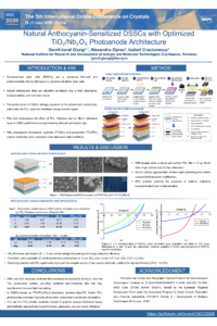 Poster_Gavril-Ionel Giurgi.pdf