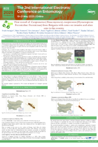 First record of Camponotus (Tanaemyrmex) compressus from Bulgaria_3 (1).pdf