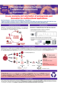 NPR_Poster IECAN.pdf