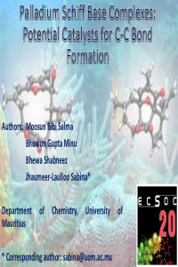 ecsoc 2016- powerpoint.pdf