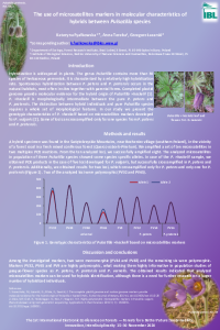 Poster. sciforum-038192.pdf