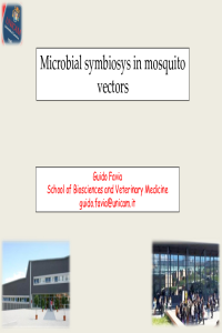 1st Iece 2021 Favia.pdf