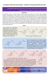 Poster ECMC2021 SB.pdf