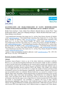 Full paper.pdf