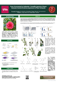 Poster camellia japonica (1).pdf