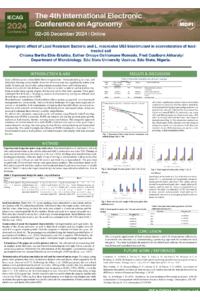 IECAG POSTER.pdf