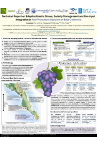 sciforum-160649_P. Barciela.pdf