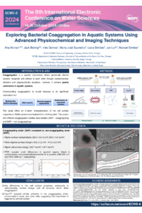 Ana-Afonso-sciforum-097593.pdf