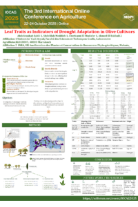 IOCAG2025.pdf