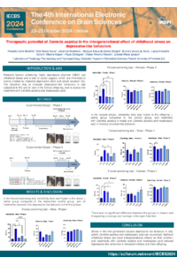 Poster Brain Sciences.pdf