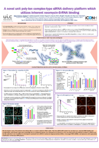 Poster_siRNA_A0_West Paraiso.pdf