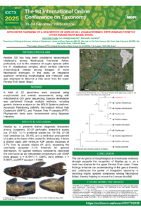 BANNER - JVD.pdf