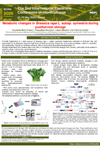 IECHo_2025_Poster Giovanna Marta Fusco.pdf