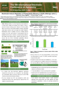 Ayew_poster_MDPI.pdf
