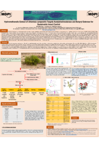 BENCHEIKH. 1st International _2026_Poster .pdf