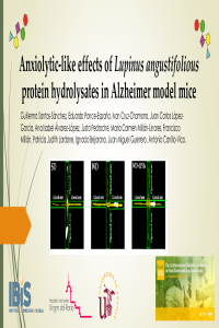 presentation_foods.pdf