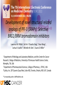 online presentation.pdf