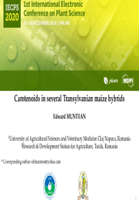 Muntean E maize.pdf
