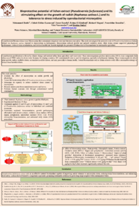 Poster-Haida.pdf