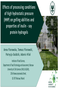 Presentation_Foods2022_Anna Florowska.pdf