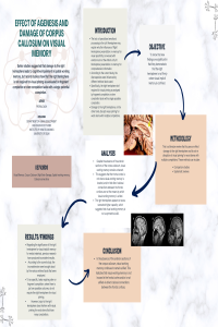 Effect of Agenesis and damage of Corpus Callosum on Visual Memory.pdf