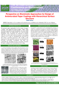 Samyn - poster.pdf