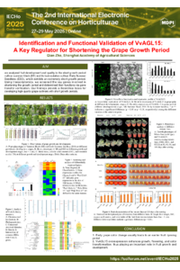 poster.pdf