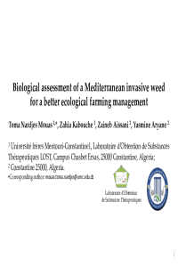 Presentation 8.pdf