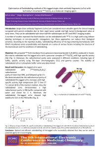 sciforum-066090.pdf